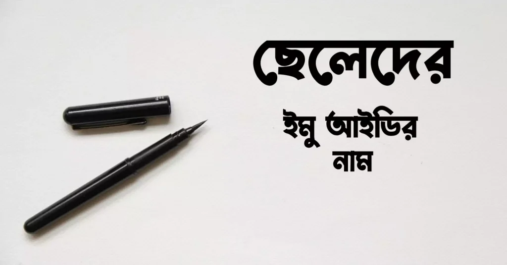 100+ ছেলেদের ইমু আইডির নাম দেখে নিন! 2021